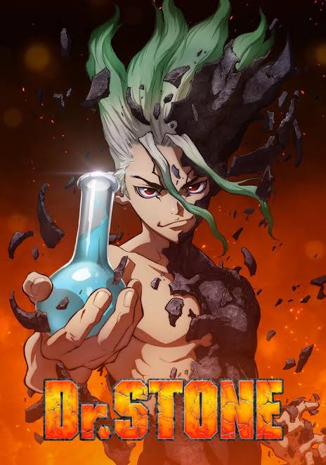 DR. STONE