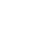 Icone Facebook