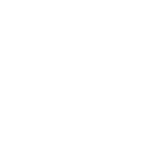 Icone LinkedIn